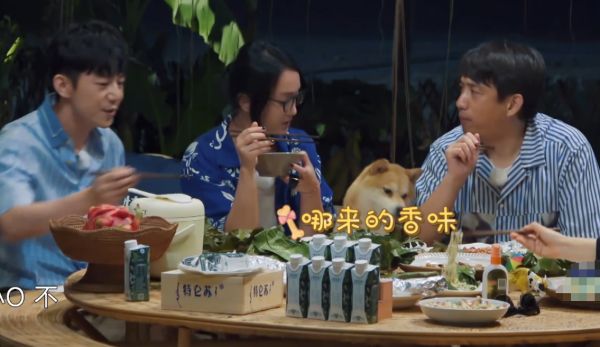 【黄磊】《向往4》黄磊做烧包菜被夸上天，当导演关掉美颜后，原来大家都被骗了