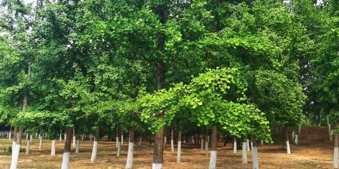 #房山#房山这个免费公园太舒服~带着孩子能玩一天