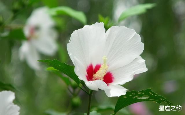 射手座：在6月份，目标明确，敢打敢拼，扬眉吐气的三大星座