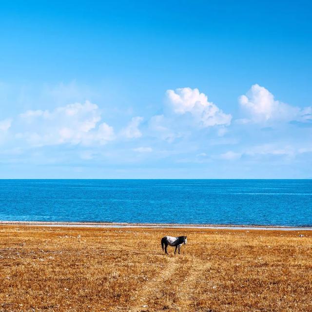 旅行|旅行中最美的15个瞬间，你经历过几个？