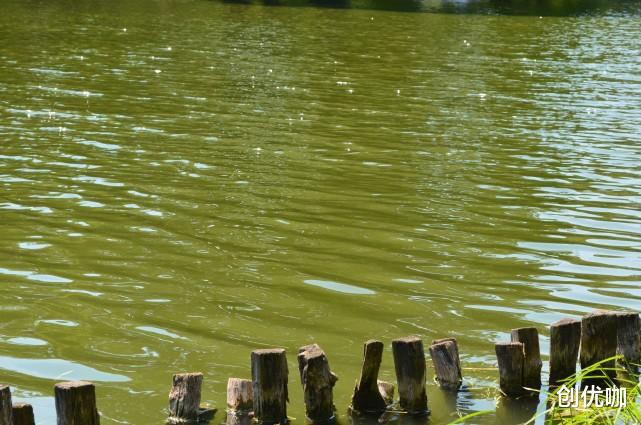 摩羯座|8月，兜兜转转，前任回头，3星座见好就收，将和好如初