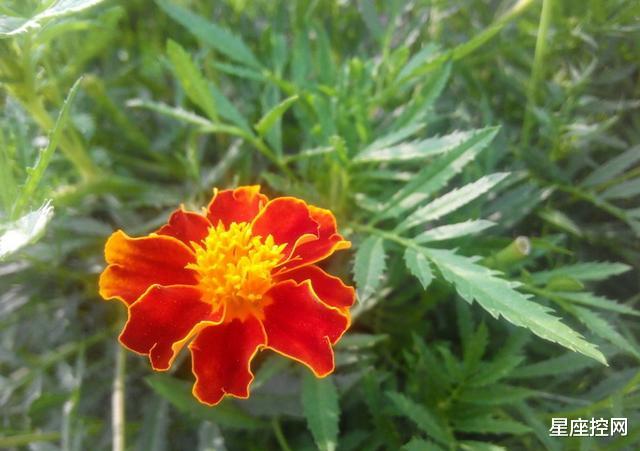 |哪3个月份出生的人，说话有分寸，做人有风度，赚钱之路顺到老