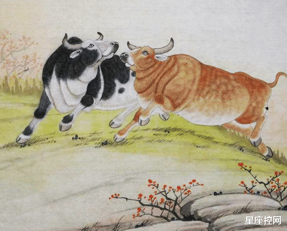运势|责任感十足的三大生肖，做事有交代，做人很厚道，有口皆碑