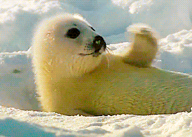 |为什么和男朋友第一次一直进不去？没人教过你穿针吗？哈哈哈哈哈