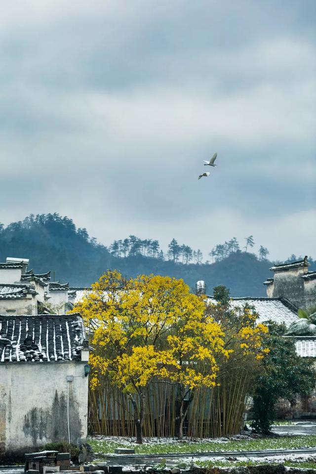「古镇」适合小住三五天的绝美古镇，和当地人一起享受慢生活
