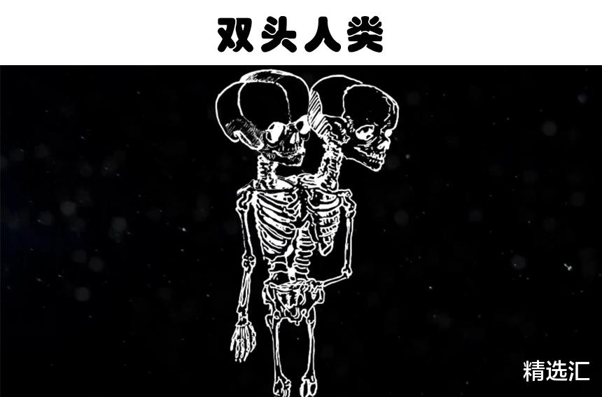 狮子|虽被认为是虚构，但在某种意义上真实存在的9种生物