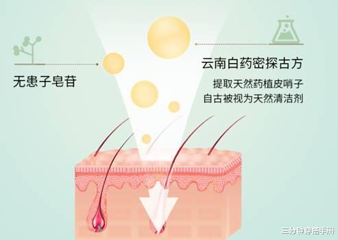 发际线|出汗发际线粉被洗掉,甩头假发片被甩出,还有什么比这更尴尬的?