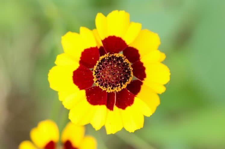 运势|10月开始，吉星庇佑，财富四方来，贵人频出的4大生肖