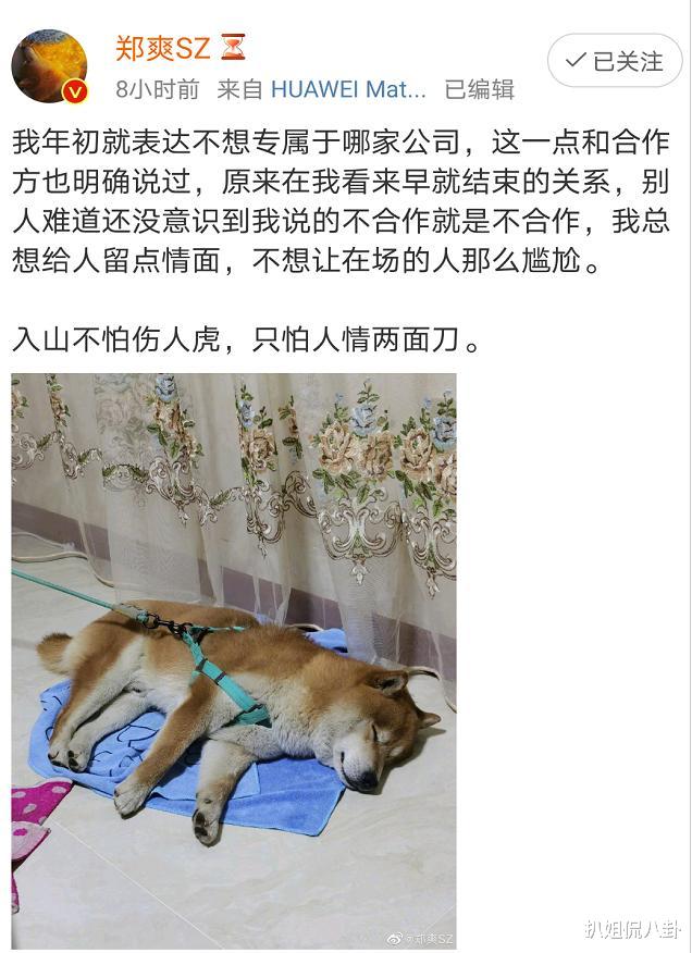 郑爽|继腾讯视频后，郑爽又手撕了湖南卫视，放飞自我惹得经纪人解约了
