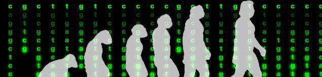 科学家|人类失去进化能力了？科学家模拟进化，发现人类未来更可怕