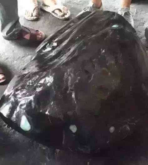 #翡翠#小哥心宽500000买下巨型原石，以为稳了，切开一片白茫茫！
