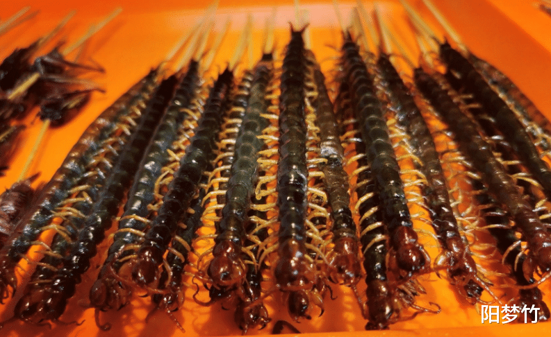 洪七公|金庸笔下的顶级美食, 让人垂涎三尺, 洪七公都吃过, 你吃过哪些?