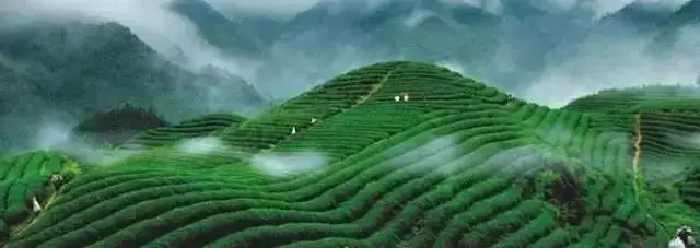 「翡翠」他从身家10亿败到倾家荡产，一块翡翠原石又让他一夜暴富！！