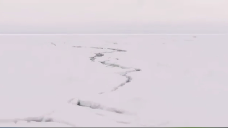 北极|北极漂泊389天后,数百名科学家带回一个噩耗:北冰洋正在死去