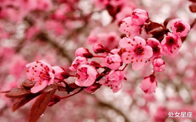 |接下来一周,贵人辅佐,3生肖运势超顺,事业大旺,数钱数到手抽筋