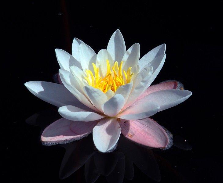 运势|8月开始财富不断增多,运势雨过天晴,轻松逆袭的四大生肖