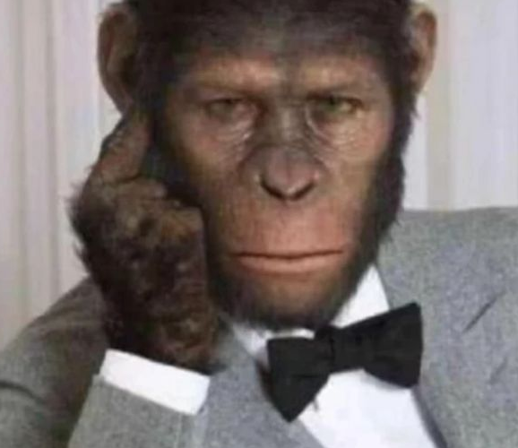 「黑猩猩」那个人类一起长大的猩猩，坚信自己就是人类的一份子，现状如何？