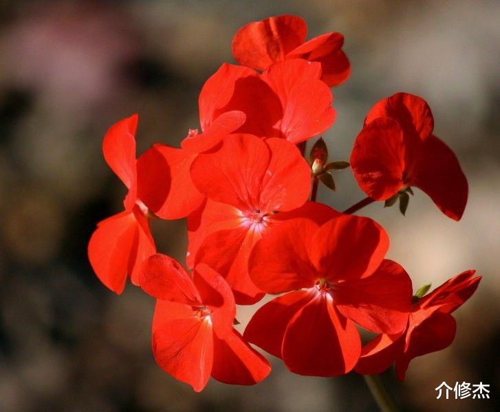 财高八斗|9月好运降临，财高八斗，财路顺到年底的4大生肖