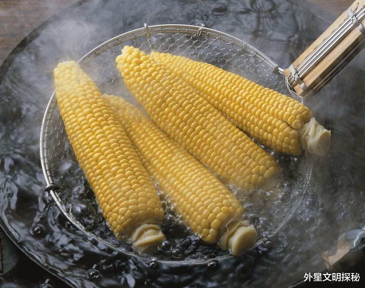 纤维素|为什么人类不能消化玉米?