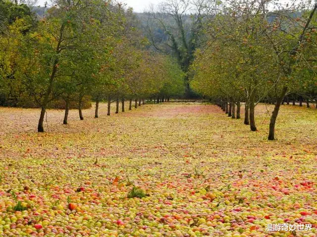 活火熔城|大自然的力量有多恐怖？看得我手心冒汗……