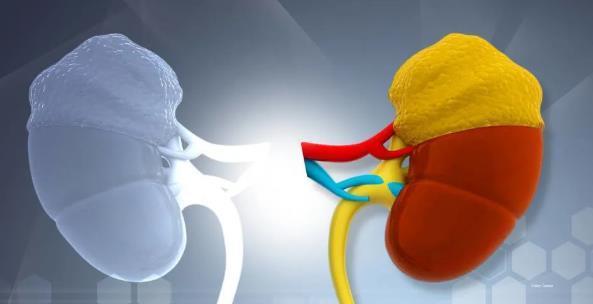 尿毒症|尿毒症有哪些早期症状？若中了2个，最好去医院检查一下