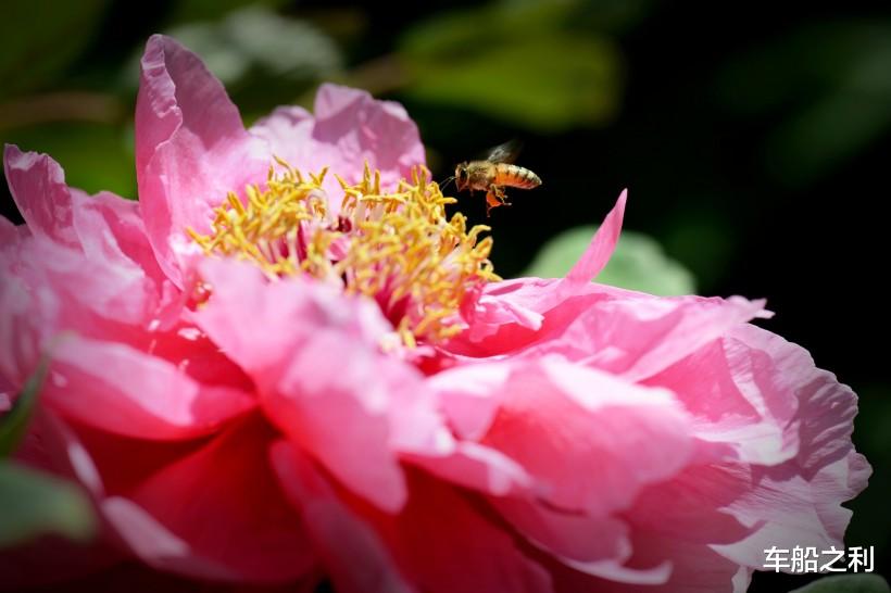 【运势】7月3号，财源大开，3属相运势开门红，事业大丰收，喜事一连串