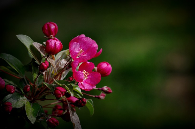 『生肖』7月中旬，夏夜蝉鸣互动，缔结新姻缘，一生惬意相守的四大生肖