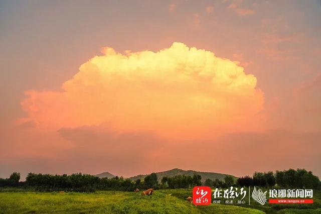 山东商报|果然!这朵刷爆临沂朋友圈的“蘑菇云”,并不简单…