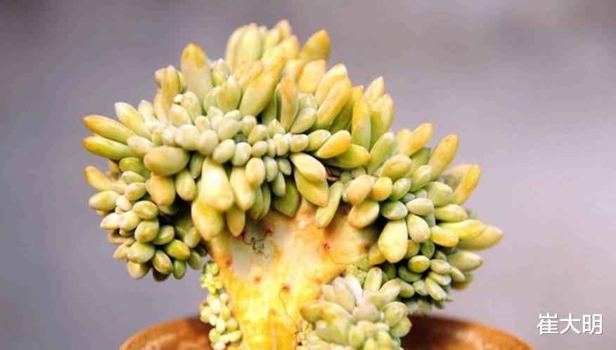 生肖：7月财神保佑，事业春风得意，大赚特赚的四个生肖