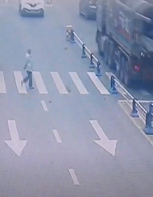 长江|找偷包子的人愣是找成了连续剧