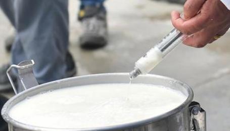 犹太人|美国经济大萧条，犹太人把新鲜牛奶倒掉。也不愿意低价卖给穷人