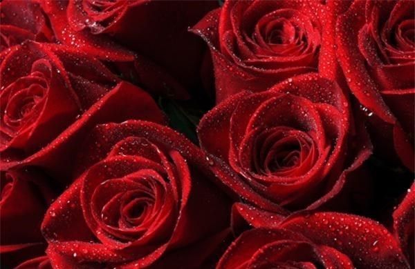 白羊座@三月底桃花运逆转，3星座不再苦苦坚持，放下旧爱开启新生活