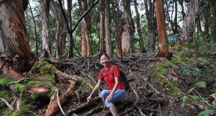 ：盘点发生在大自然的那些奇闻，每一件都令人感到惊奇不已！