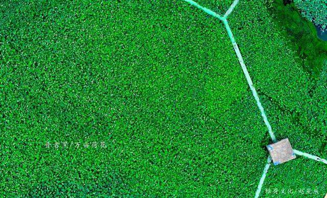 『涠洲岛』越到夏天，越是不能去的9个国内旅行地！