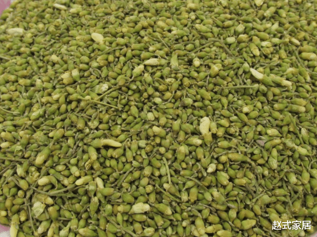 血糖▲4物是糖尿病的“冤家”,工资少也要舍得多吃,或稳定血糖不上升