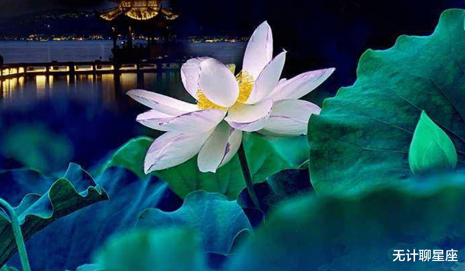 旧爱|未来十天，这4个星座会遇到真爱，旧情放下，新的感情到来