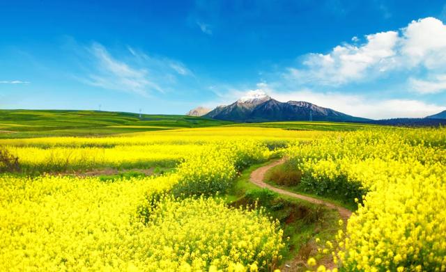 [靖西]6、7月旅行地推荐，过一个最爽的夏天！少有游人，太适合避暑了