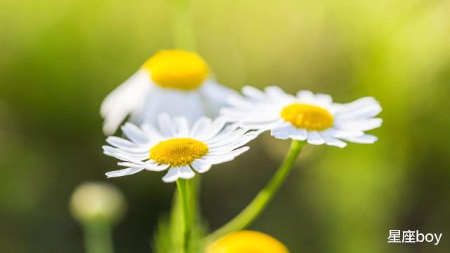 『白羊座』能躲就躲，能避就避，不太喜欢集体活动的4个星座