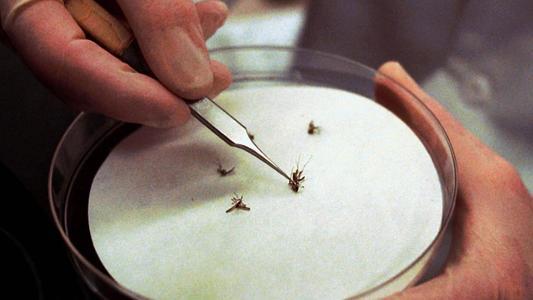 美国|更令人担心的事发生,一种可怕的病毒出现在美国,美国人开始慌了