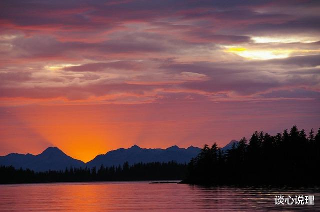狮子座|15天后，曲终人散，梦醒阑珊，3星座心灰意冷，余生两不相欠