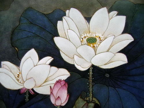 #秦岭#「原创」荷花（外一首）（美醉了）