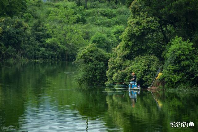 金马|当久居闹市的我回归乡间,挥竿钓鱼走起