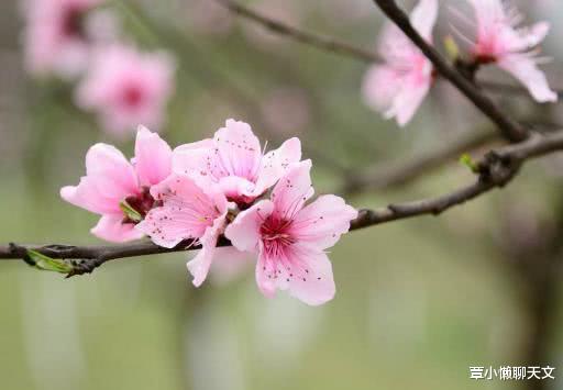 【恒星】夜空中的星光都是几千年以前发出来，我们看到的星星都是假的？