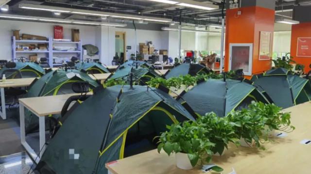 996|海淀某互联网公司：不996了，直接007