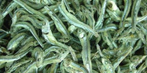 『辣条』市面上一元一包的小辣鱼，究竟是用什么做的？看完之后心情复杂