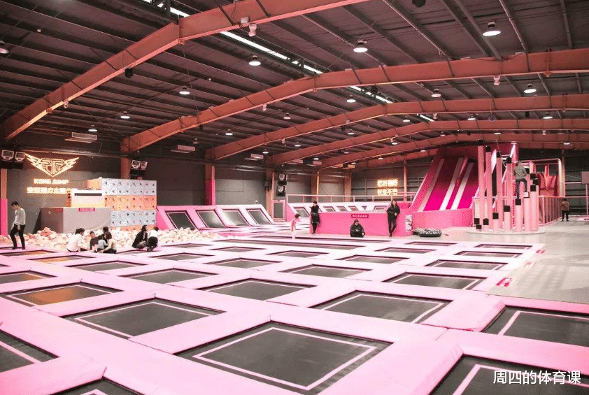 何雯娜|下体撕裂、全身瘫痪!奥运冠军何雯娜:我对它恐惧了7年