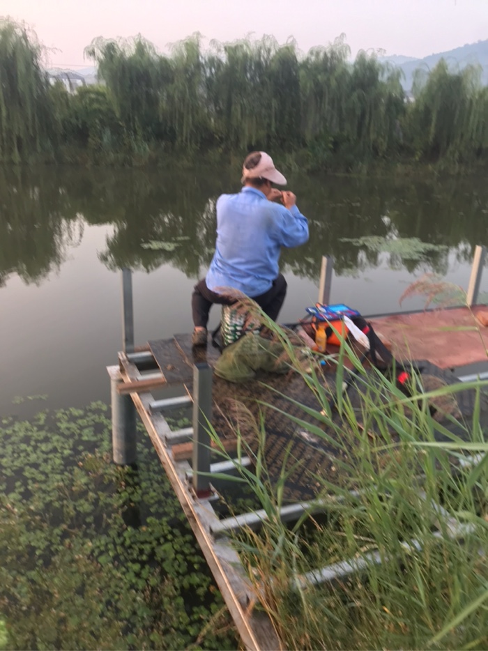 鲫鱼|早上鱼口不错\uD83D\uDC4D，可惜鱼杆断了