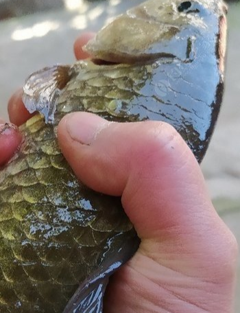 「」一入钓门深似海，从此贷友是路人