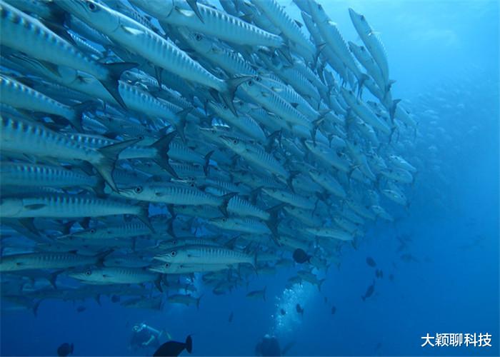 『海洋生物』海洋深不见底，在7000米的海底深处，鱼已经变得不像鱼！