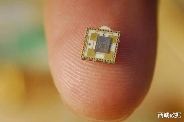 [芯片]芯片“国家队”来了？中国院士预言成真，美科技界：必须立刻封锁